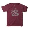 Wes And Willy Infant Montana Grizzlies Basic Logo T-Shirt Maroon -Wes and Willy Sales Store unnamed file 244
