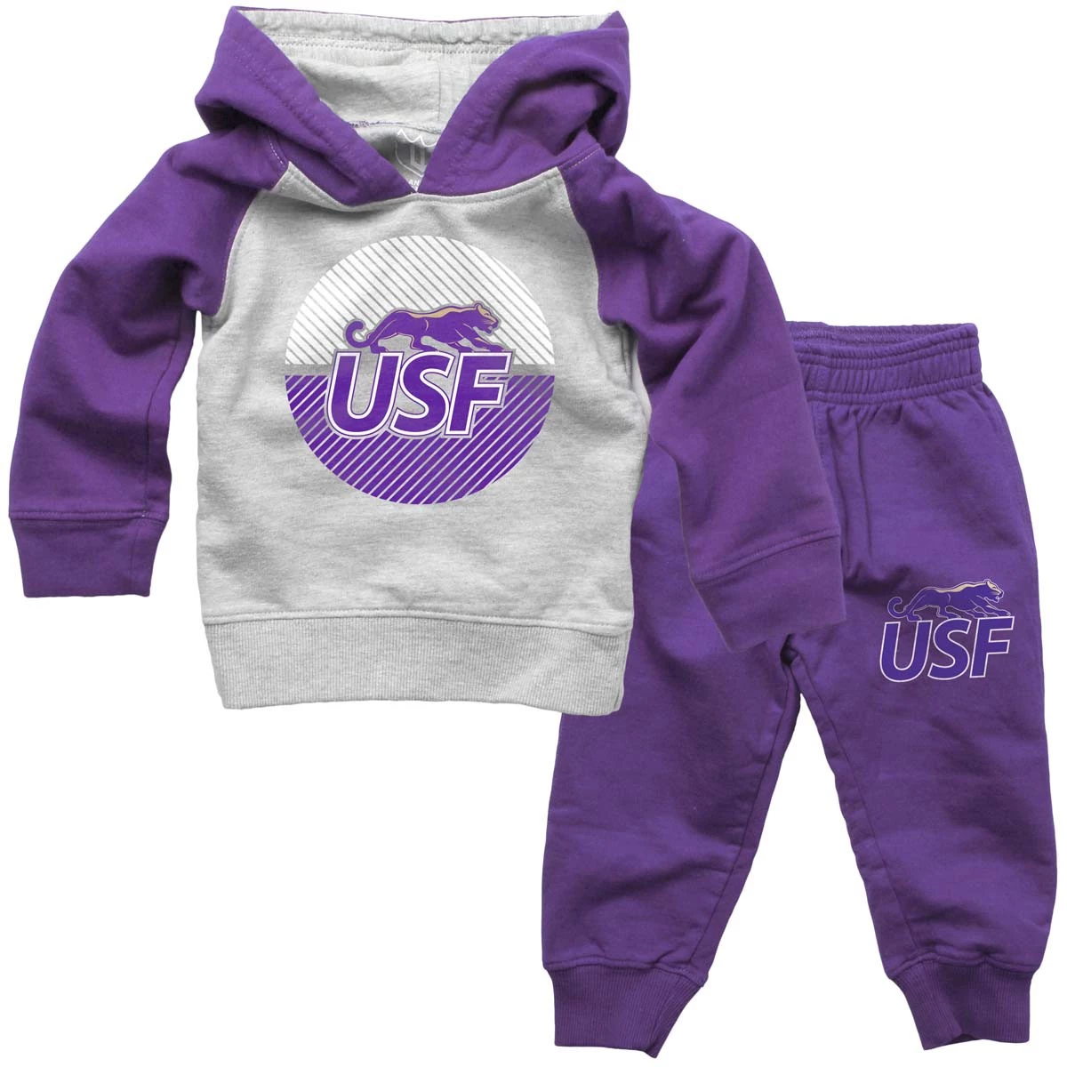 Wes And Willy Toddler Sioux Falls Cougars Sweatshirt & Sweatpants Set Purple 4 Wes And Willy Toddler Sioux Falls Cougars Sweatshirt & Sweatpants Set Purple - Image 2